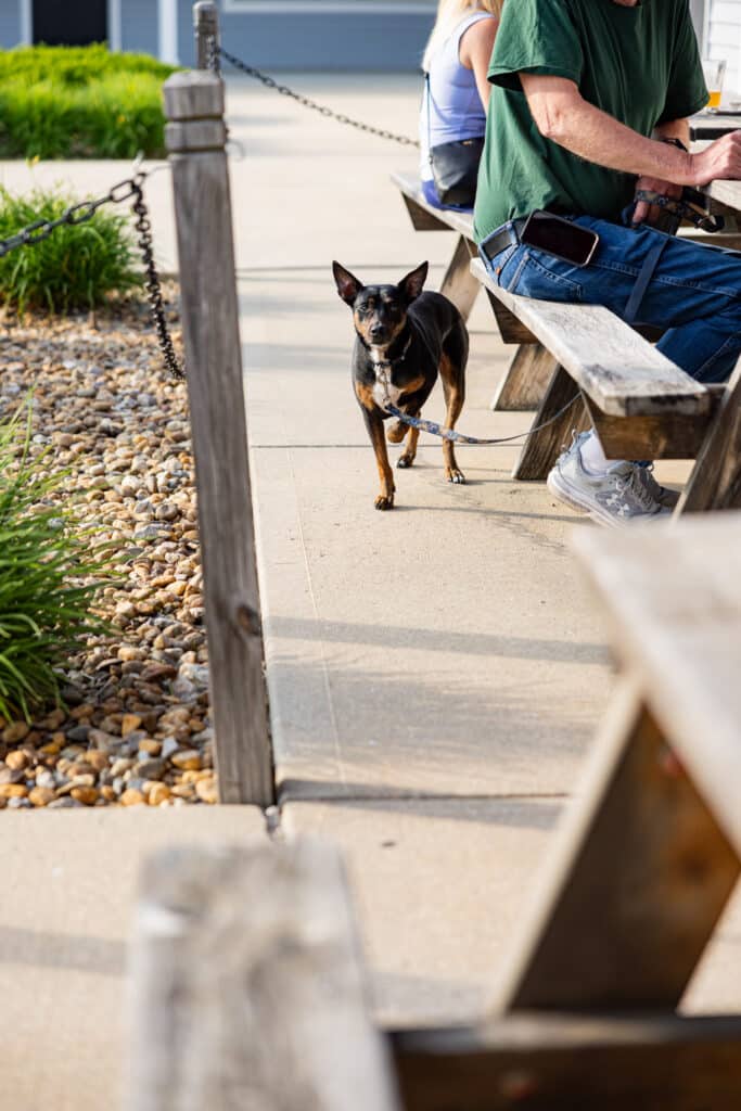 restaurants with outdoor seating